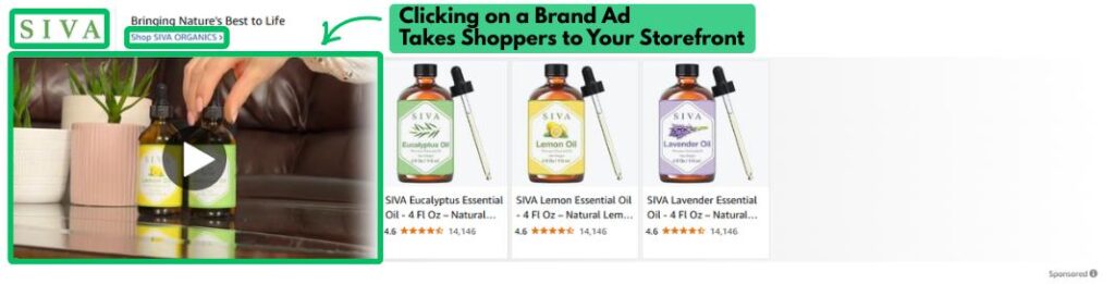 Sponsored Brand Ads link to Amazon Storefront